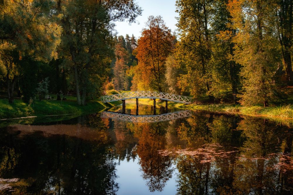 Photograph by Добродий Михаил