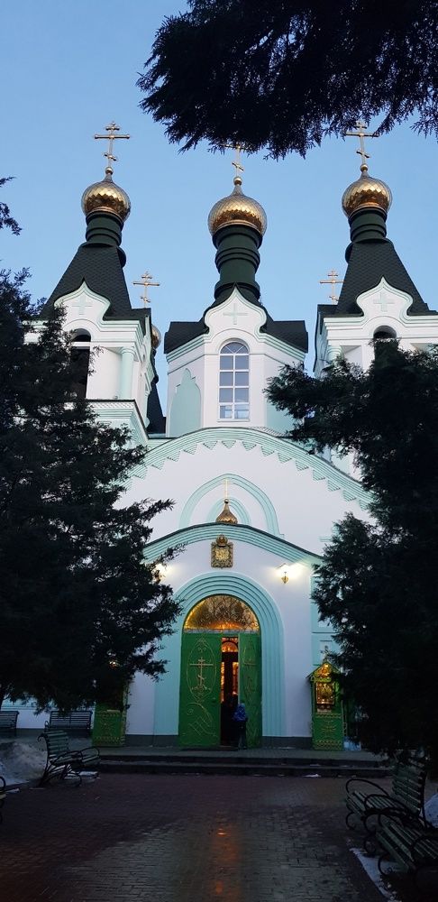 Фотография автора Ольга Мусина