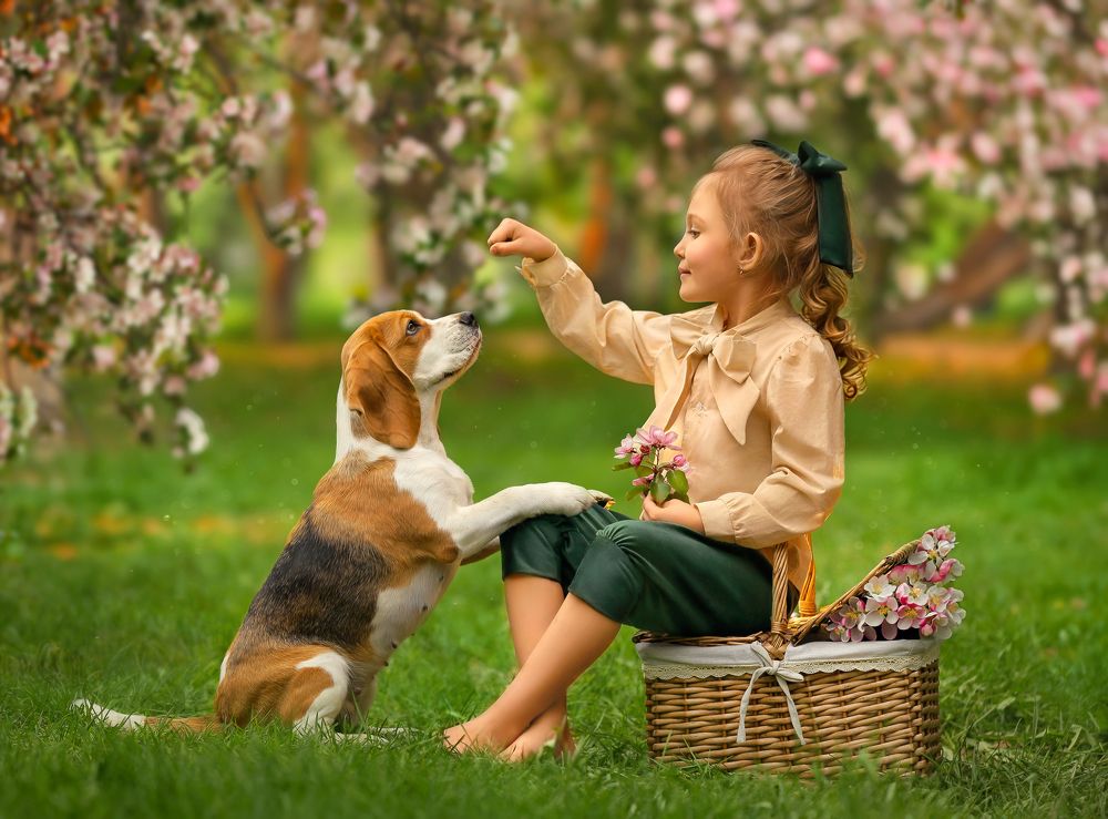 Photograph by Анна Волкова