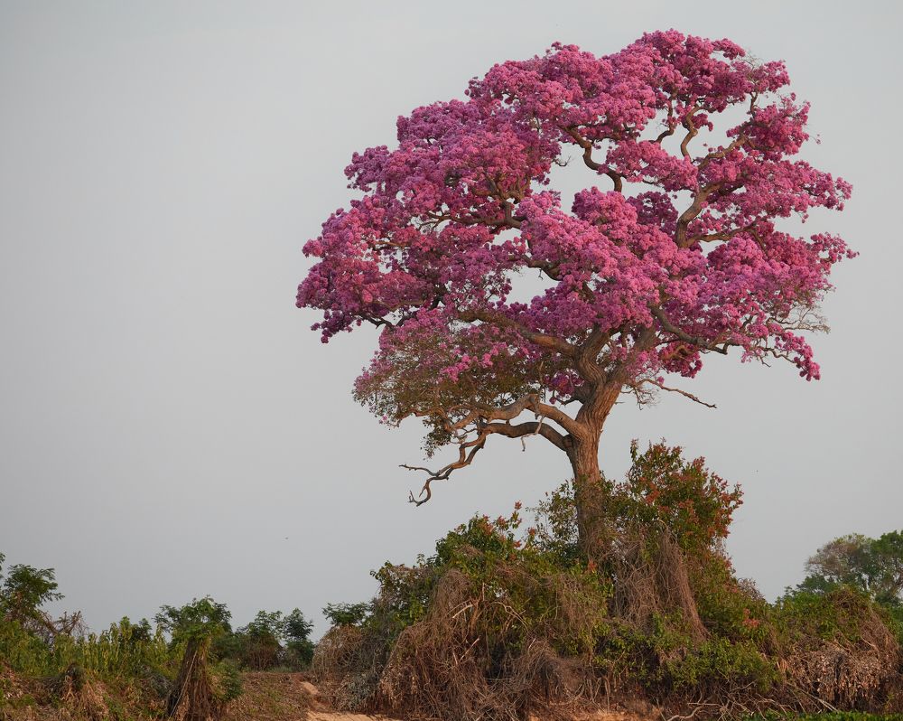 Photograph by Игорь Щербаков