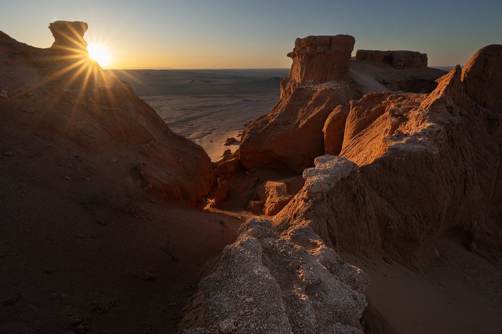 Photograph by Елена Вторушина