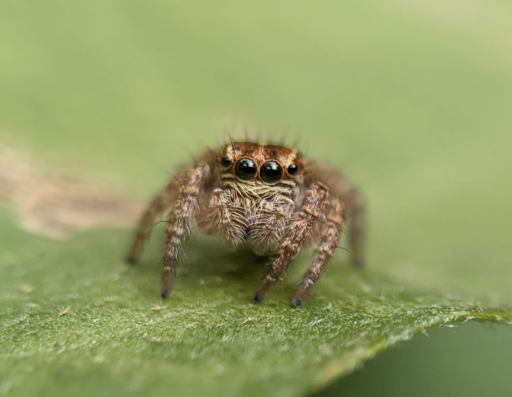 Photograph by GOVIND VISWANATH