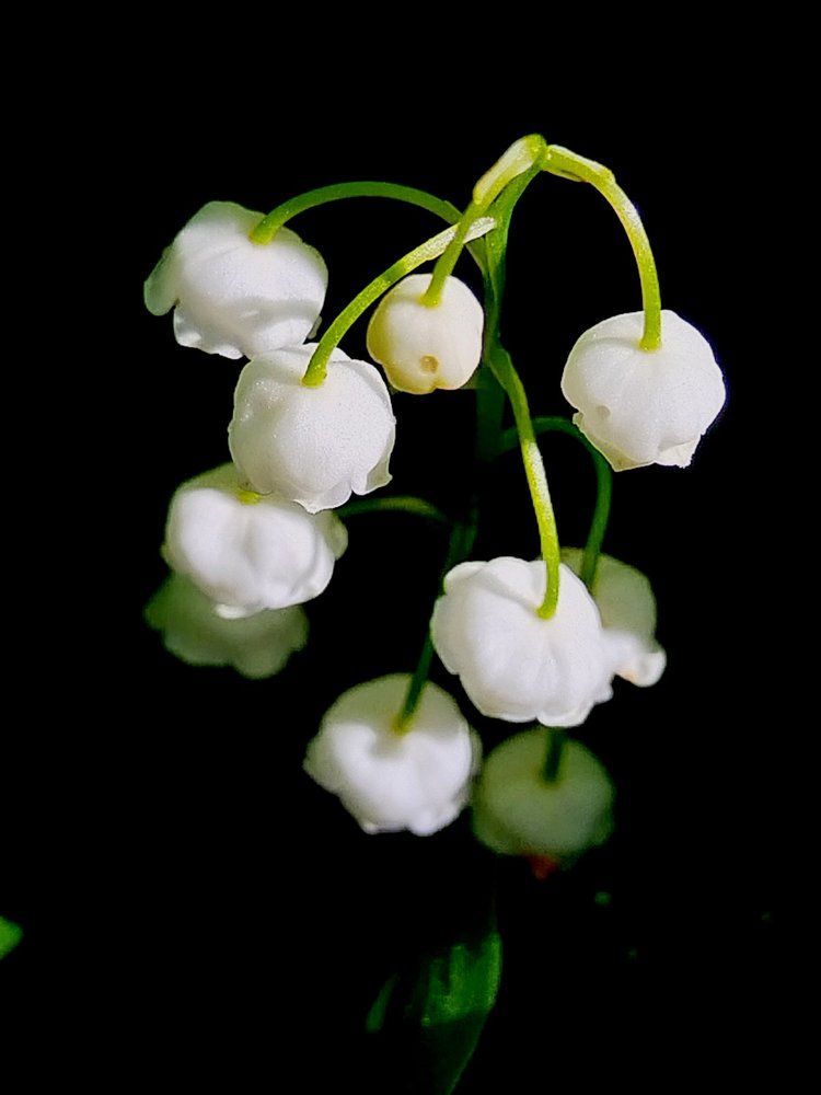 Photograph by Татьяна Солтан