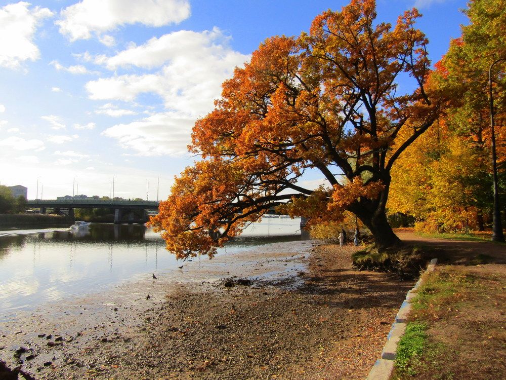 Photograph by Татьяна Смирнова