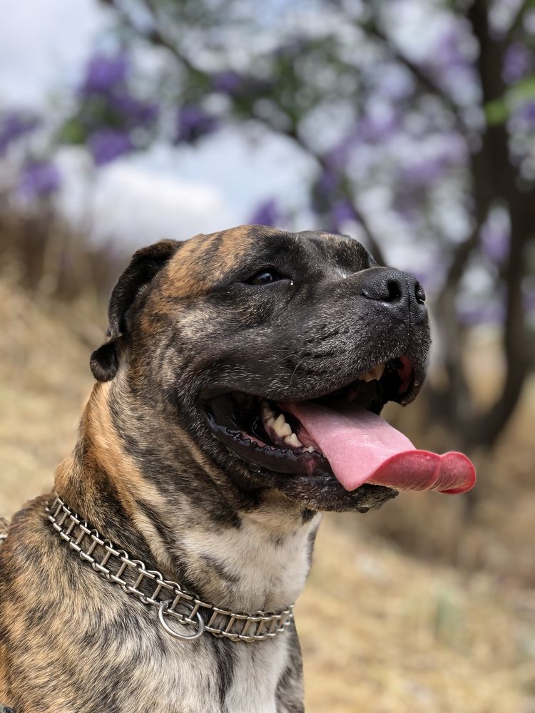 Photograph by Anna Poponina