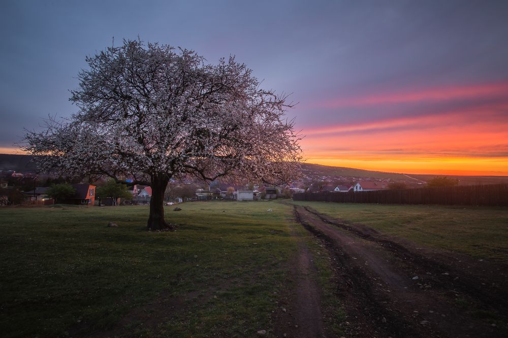 Photograph by Филипп Бабенко