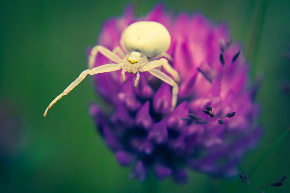 Фотография автора Ирина Гриценко