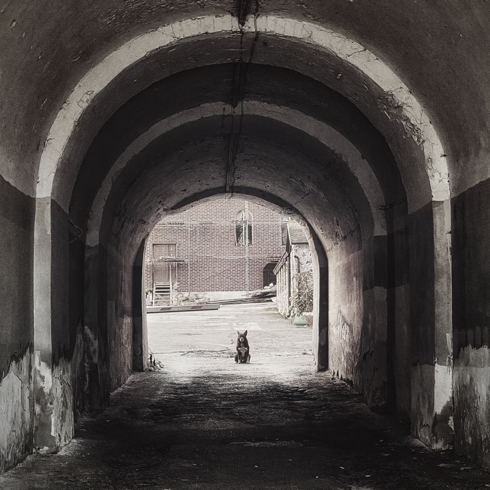 Фотография автора Евгения Никишина