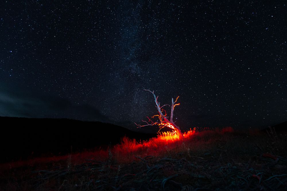 Photograph by Елена Верещака