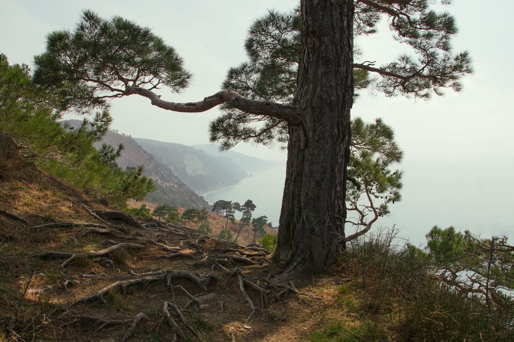 Photograph by Забудская Наталья