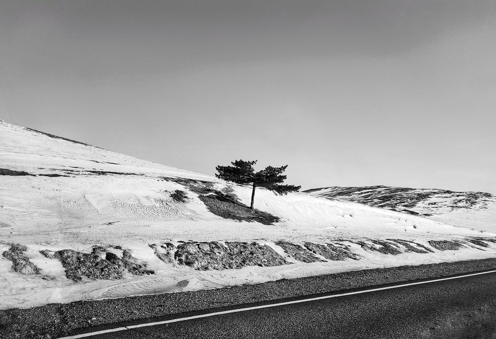 Photograph by Оксана Лоншакова