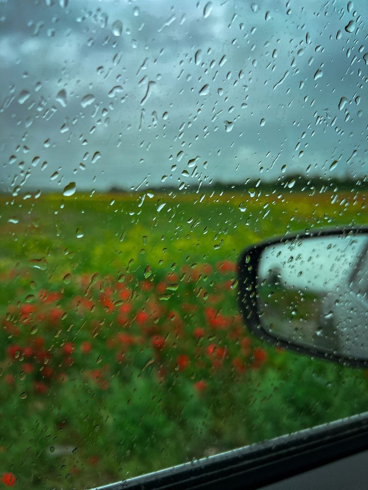 Photograph by Дмитрий Балеевских