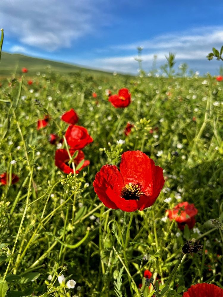 Photograph by Дмитрий Балеевских