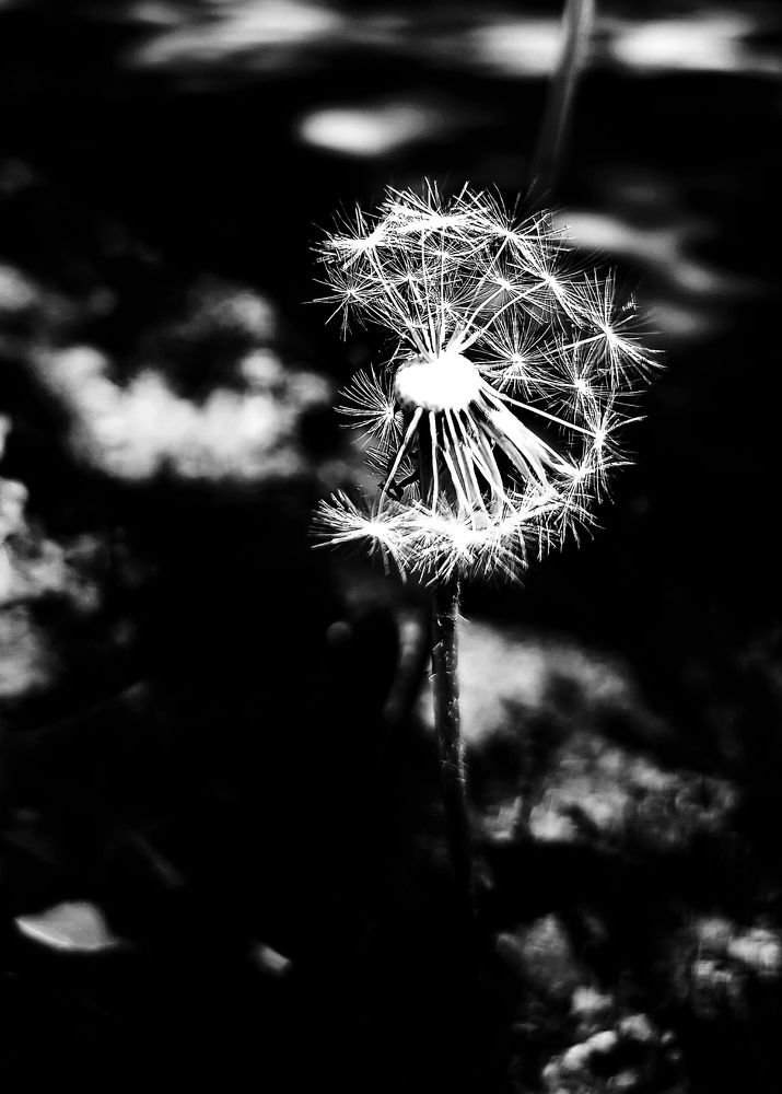 Photograph by Пищулина Ксения