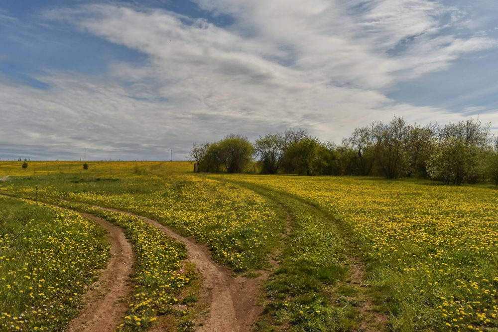 Photograph by Роман Пацкевич