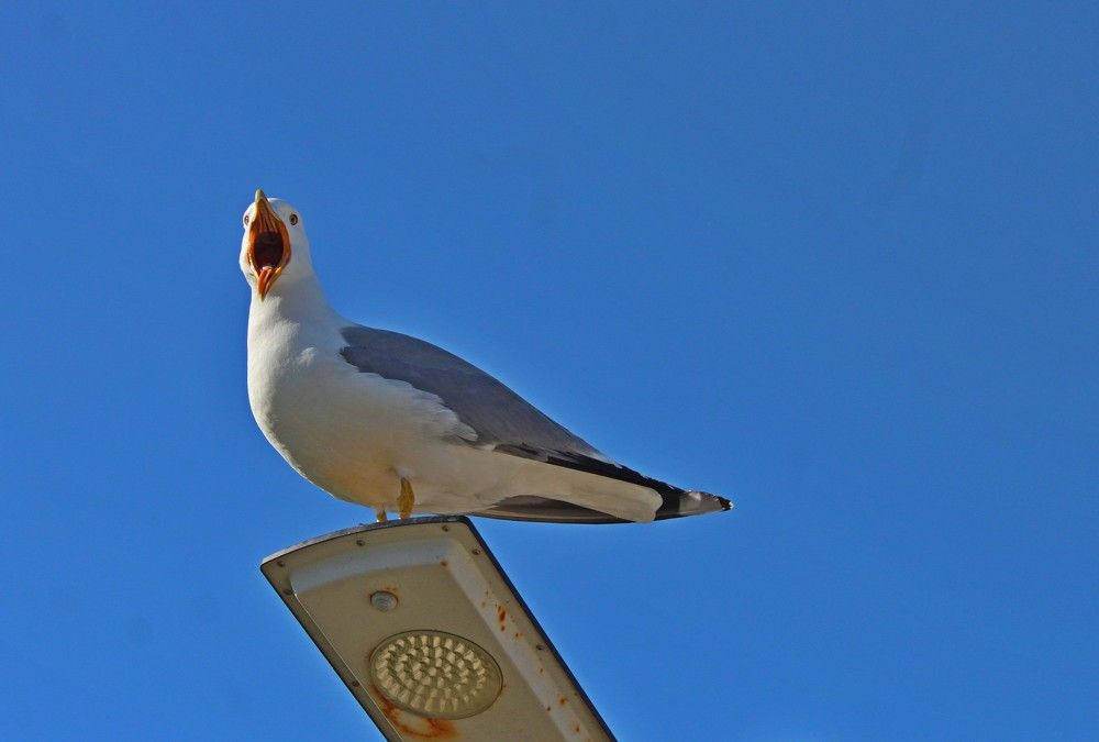 Photograph by Galina Tsmyg