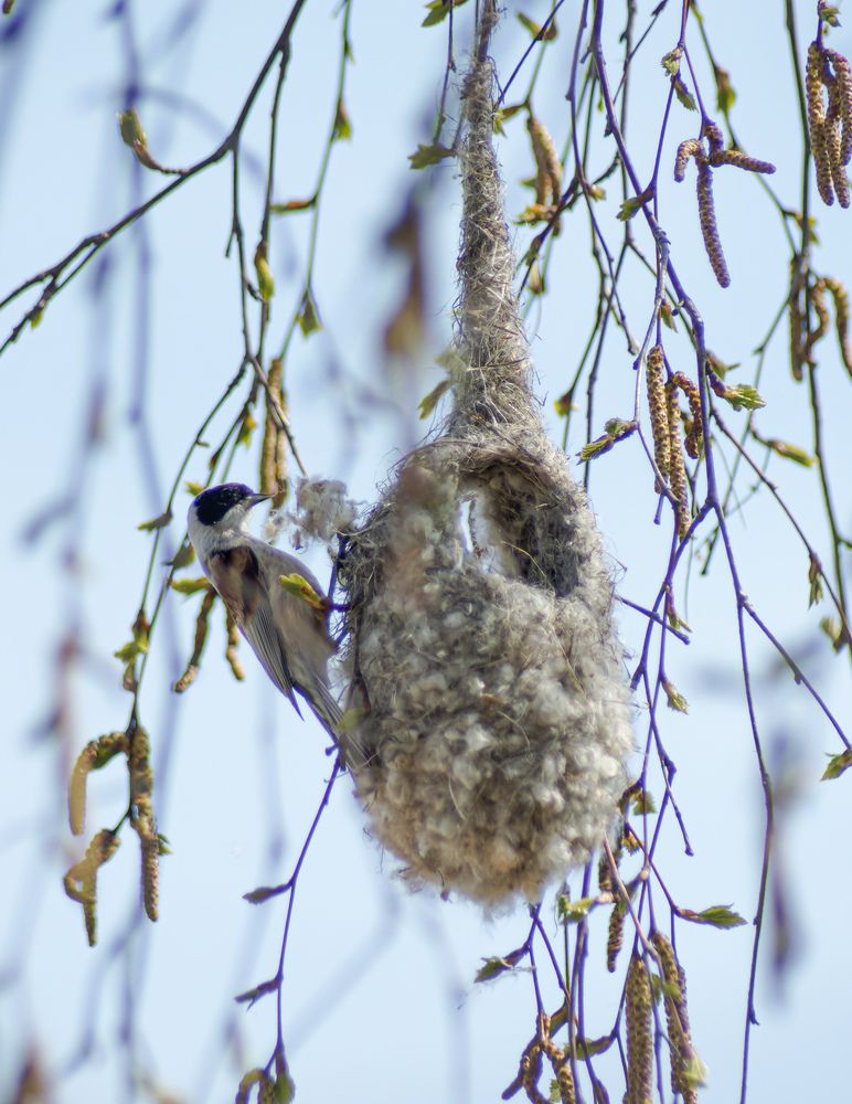 Photograph by Карина Заводчикова