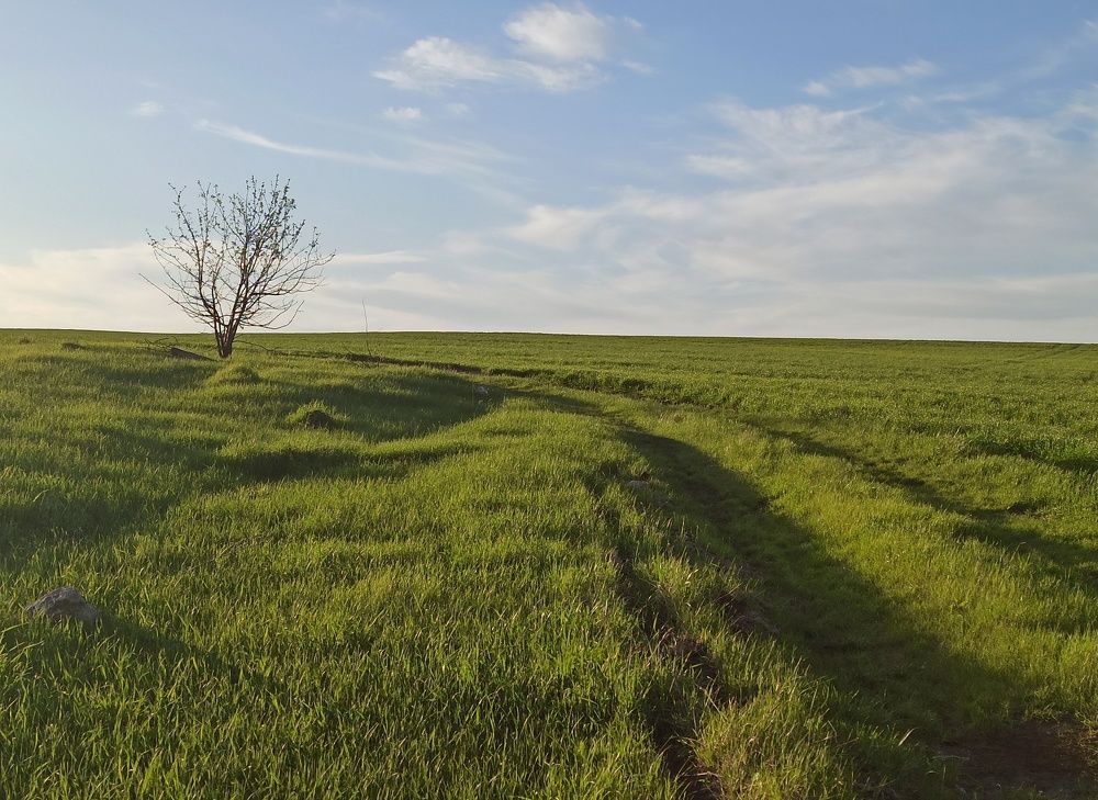 Photograph by Новикова Елена Сергеевна