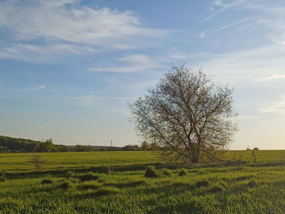 Photograph by Новикова Елена Сергеевна
