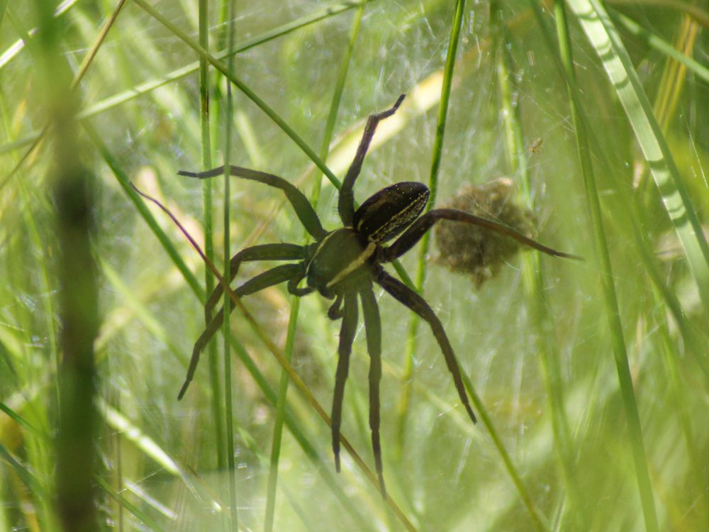 Photograph by Карина Заводчикова