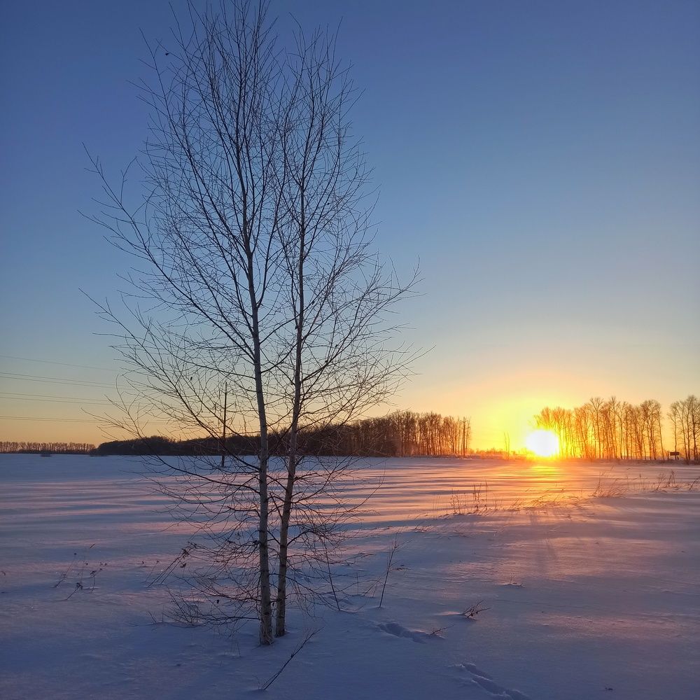 Photograph by Новикова Елена Сергеевна