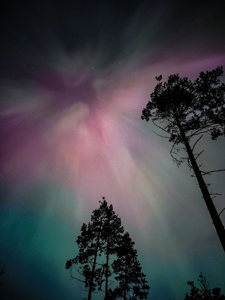 Photograph by Карина Заводчикова