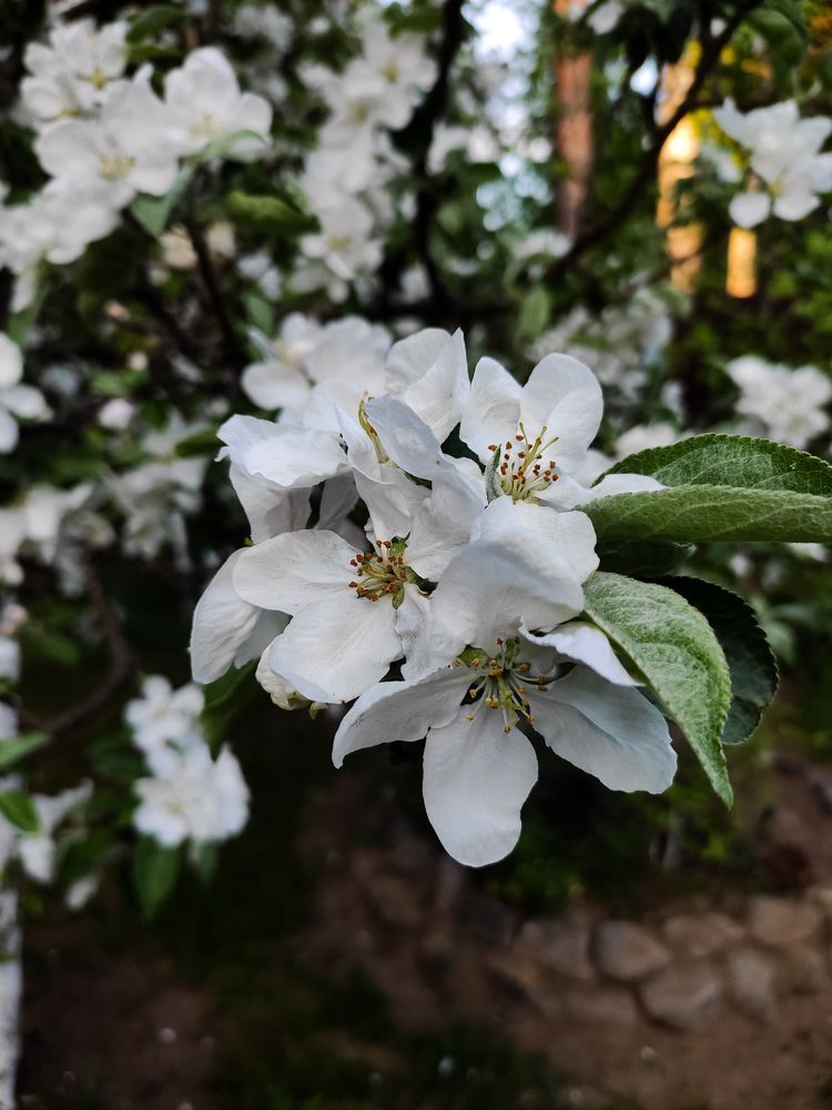 Photograph by Карина Заводчикова