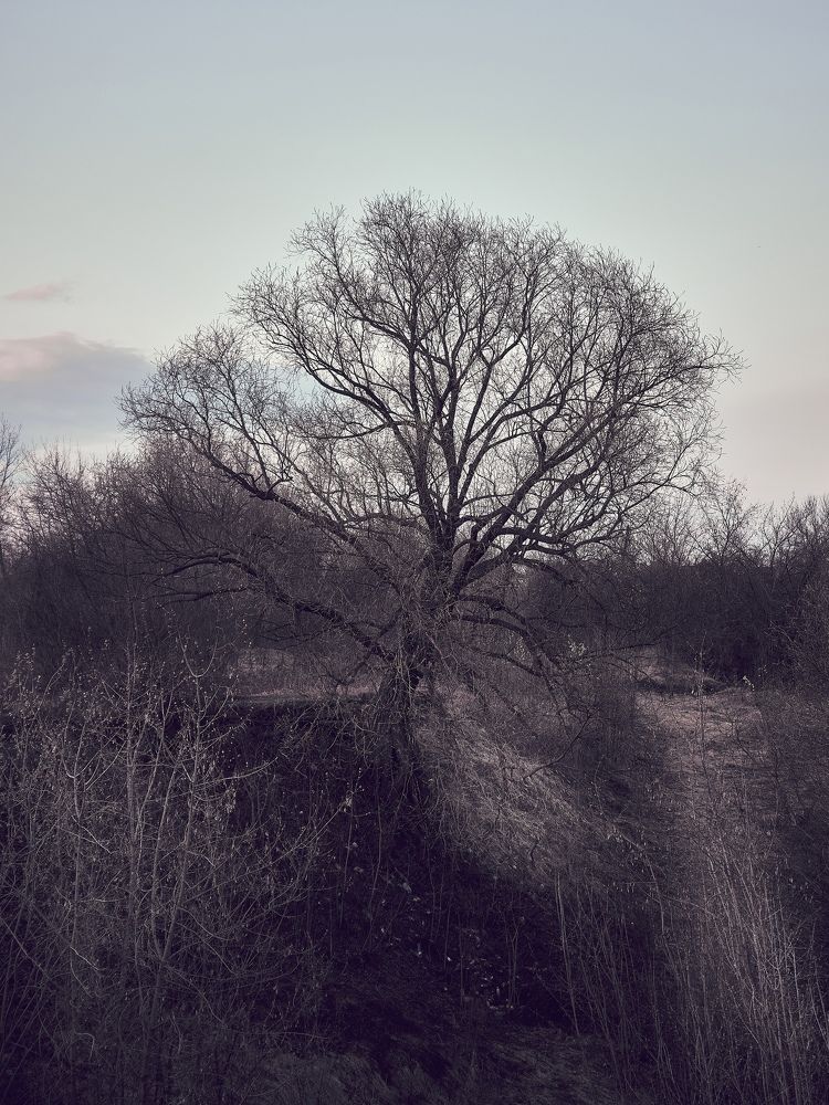 Photograph by Александр Данилов