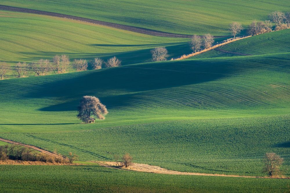 Photograph by Шимаковский Юрий