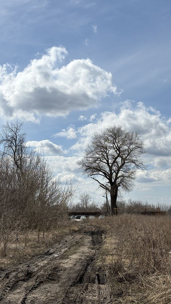 Photograph by Елена Гущина