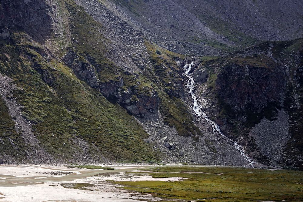 Фотография автора Ирина Муравьева