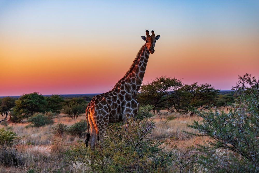 Photograph by Кирилл Мазазолин