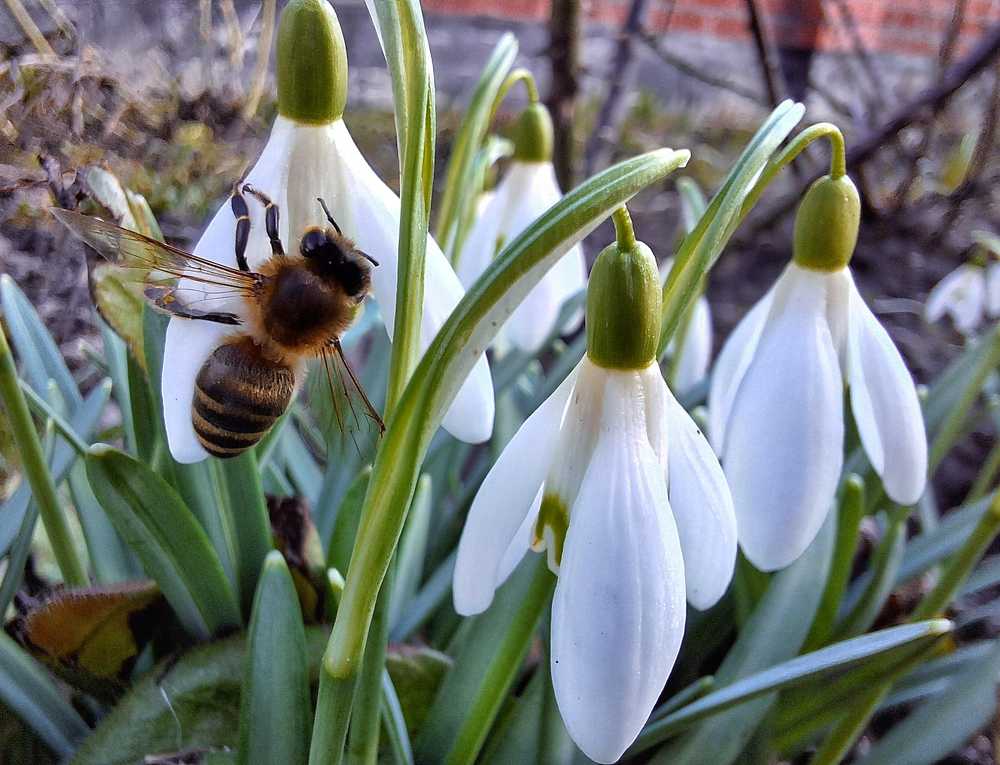 Photograph by Наталия Игоревна