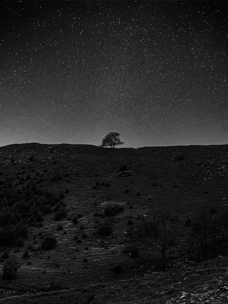 Photograph by Konstantin Martynov