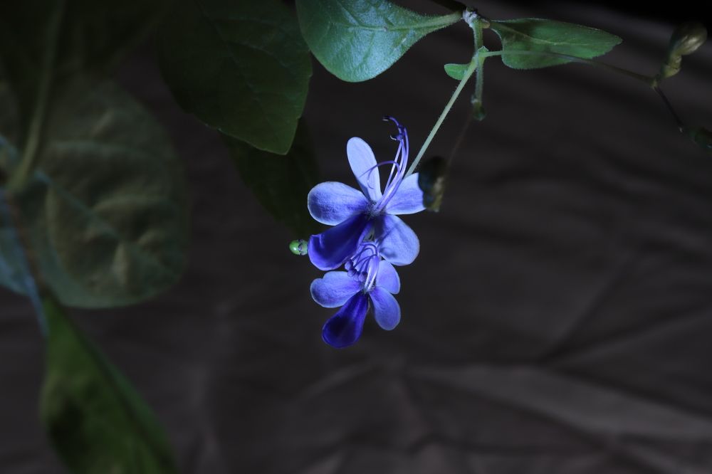 Photograph by Светлана Соколова