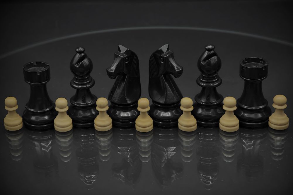 Photograph by romina moniri