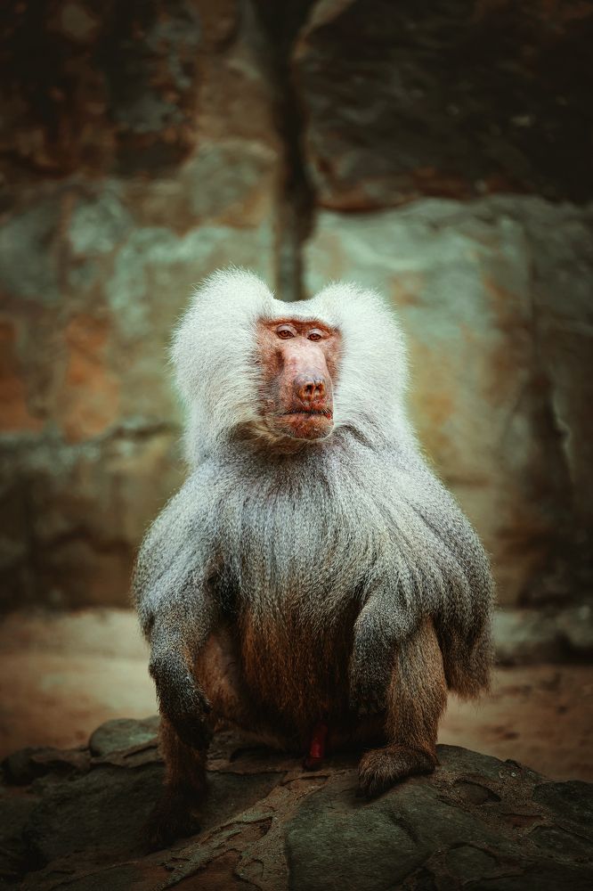 Photograph by Ali Chaer