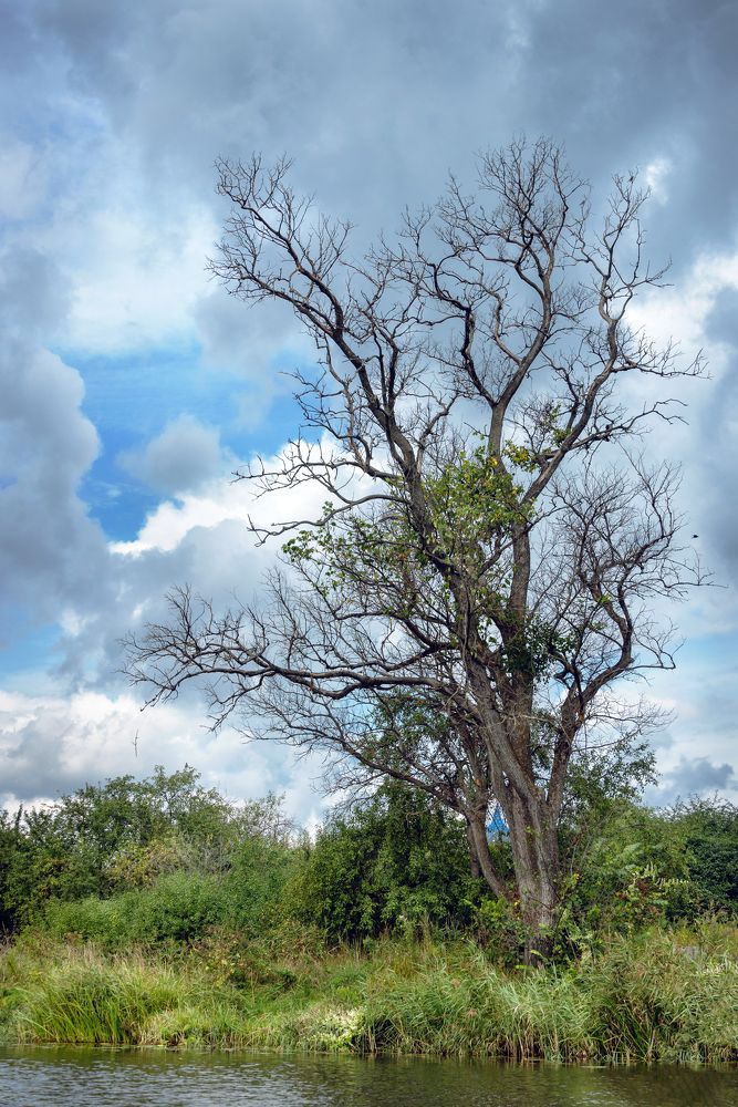 Photograph by Белевитин Михаил