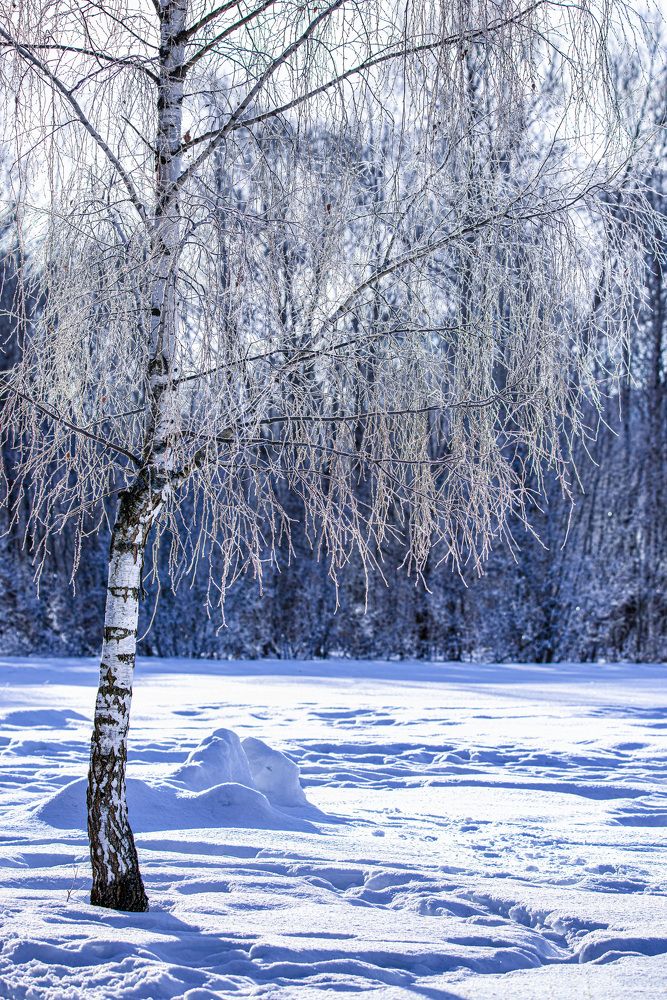 Photograph by Белевитин Михаил