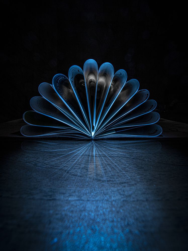 Photograph by Игорь Толкачев