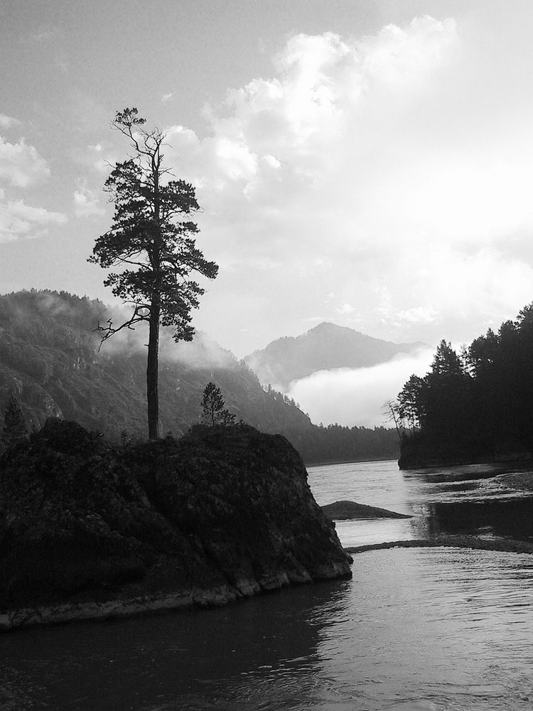 Photograph by Дмитрий Ткаченко