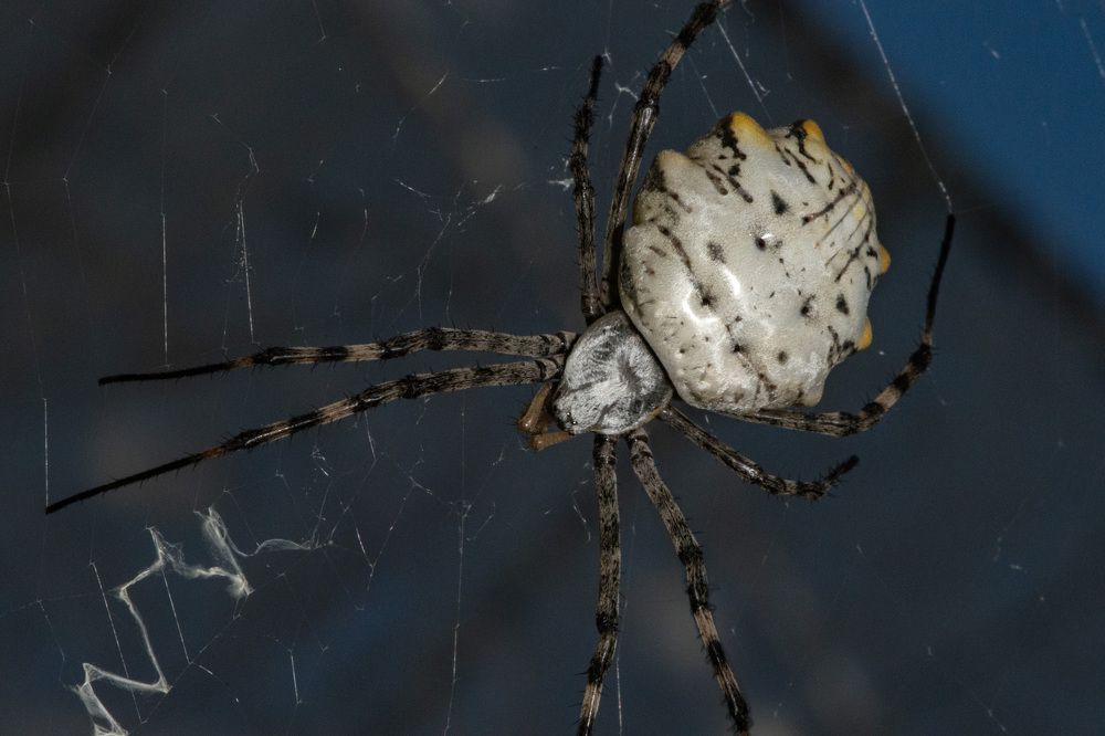 Photograph by Римма Волченко