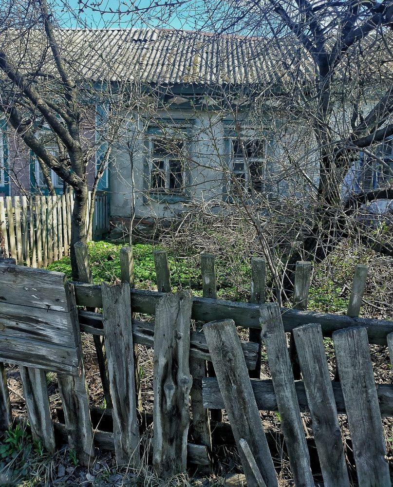 Photograph by Ольга Мартьянова