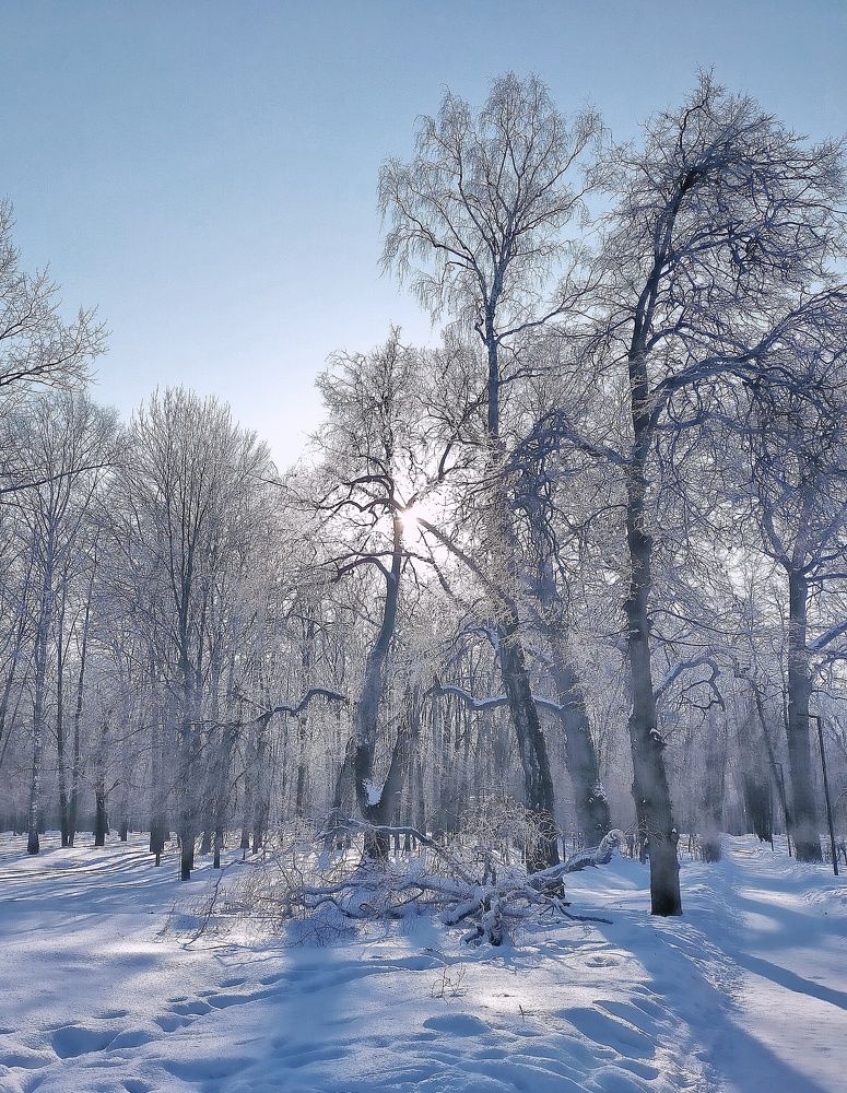 Photograph by Ольга Мартьянова