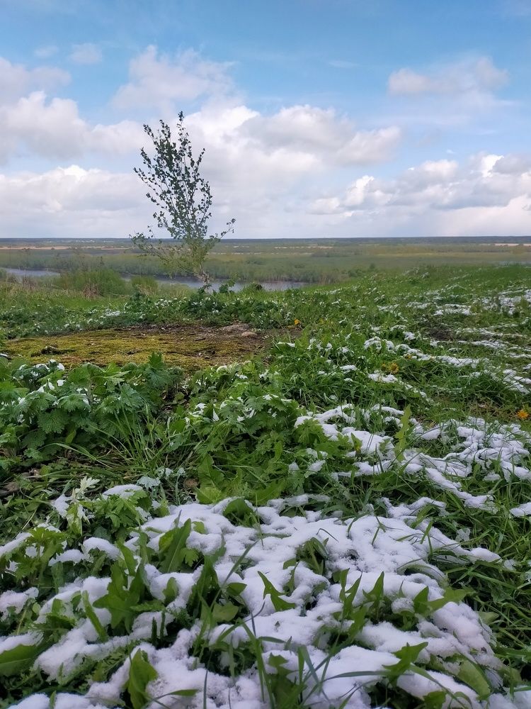 Photograph by Ольга Мартьянова