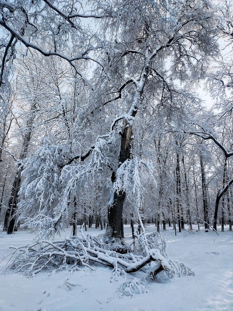 Photograph by Ольга Мартьянова