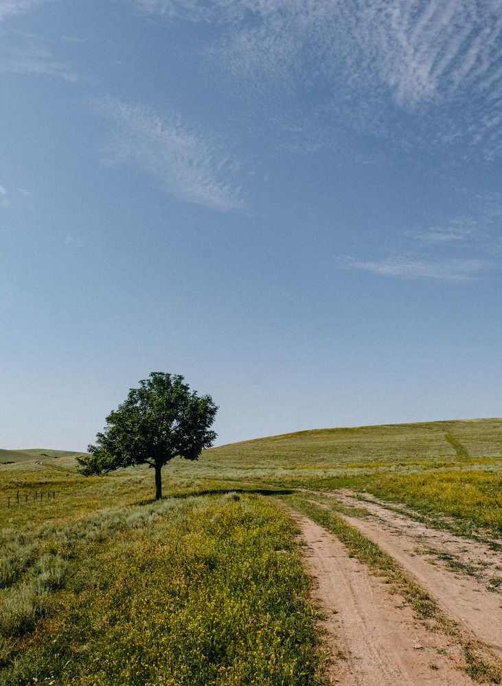 Photograph by Виктор Жулин