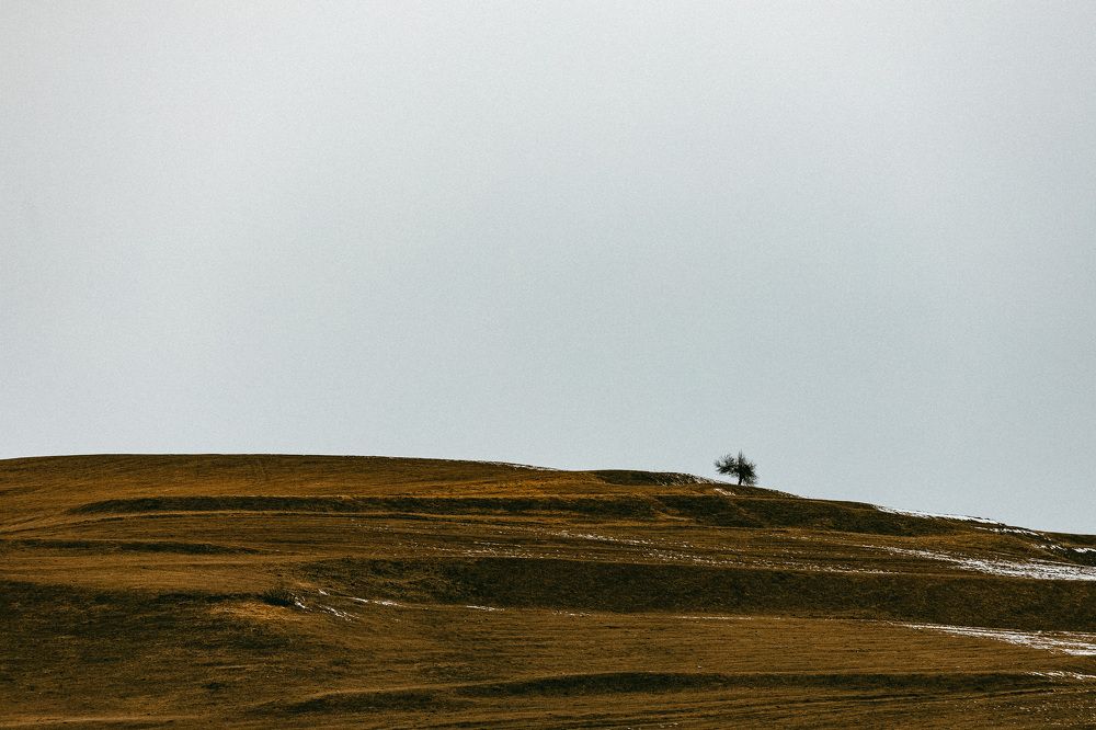 Photograph by Виктор Жулин