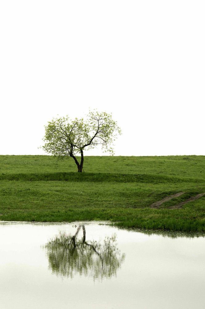 Photograph by Сергей Звягин