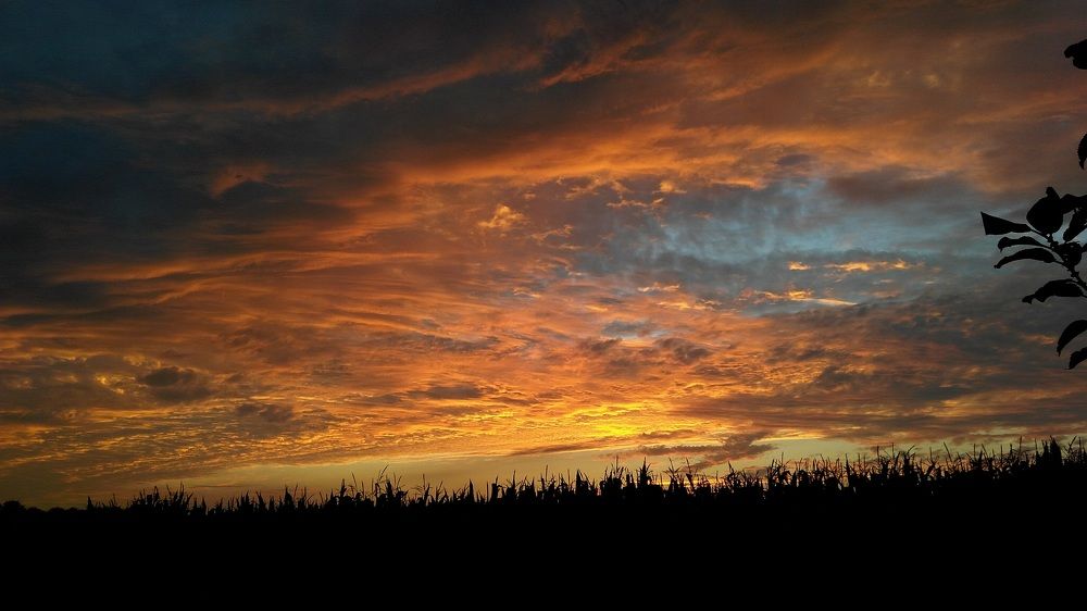 Photograph by Алла Узкая